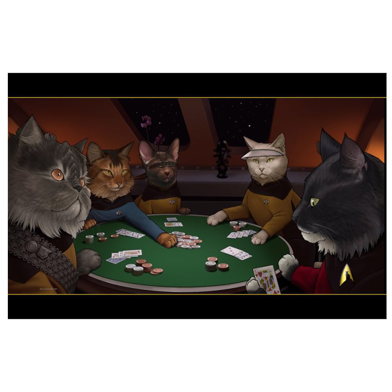 ST Cats Sherpa poker cats RO 1