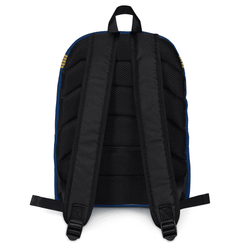 ST D CBP 100133 Backpack Back MF