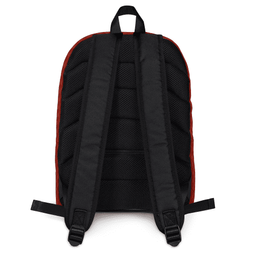 ST SFA CBP 100133 Backpack Back MF