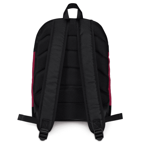 ST TNG CBP 100133 Backpack Back MF