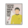 Star Trek: The Original Series Sulu Premium Matte Paper Poster