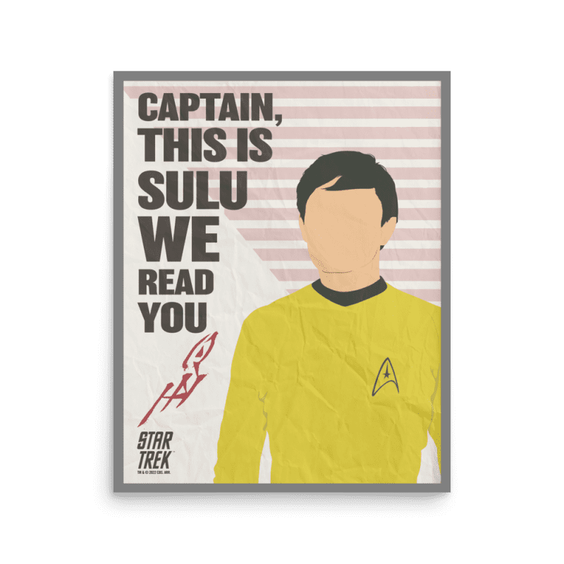 Star Trek: The Original Series Sulu Premium Matte Paper Poster