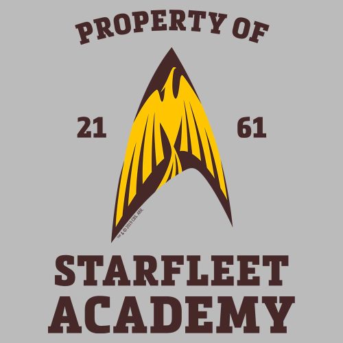 StarTrek StarfleetAcademy FlyingPhoenixDelta Hooded Sweatshirt RO