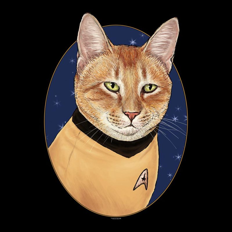 StarTrek TOS CatCaptainKirk SherpaBlanket Mockup RO